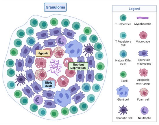 Microorganisms 09 02330 g001 550