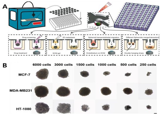 Biosensors 11 00445 g002 550