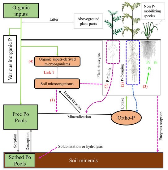 Agronomy 11 02267 g001 550