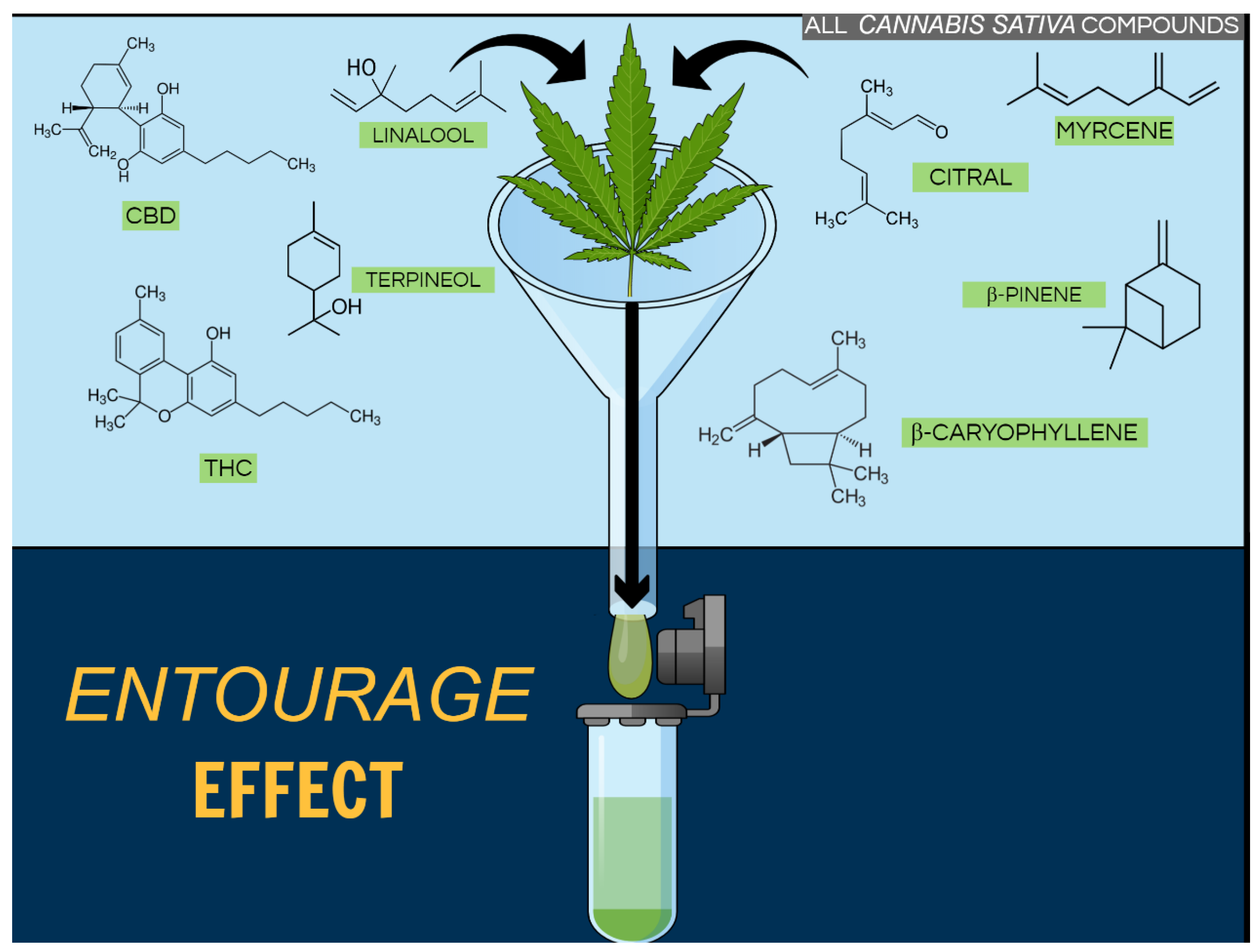 /media/item_content/202111/61930f44ce92dmolecules-25-01567-g002.png