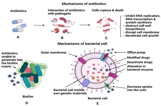 Antibiotics 10 01338 g003 550