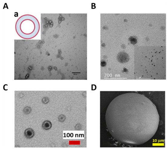 Polymers 13 03920 g002 550