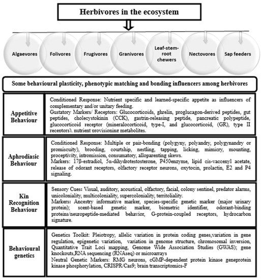 Sustainability 13 12381 g001 550