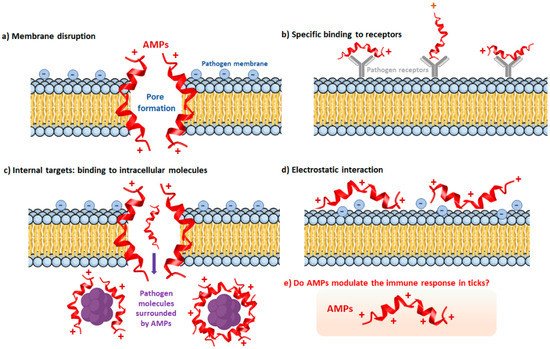 Pathogens 10 01511 g002 550