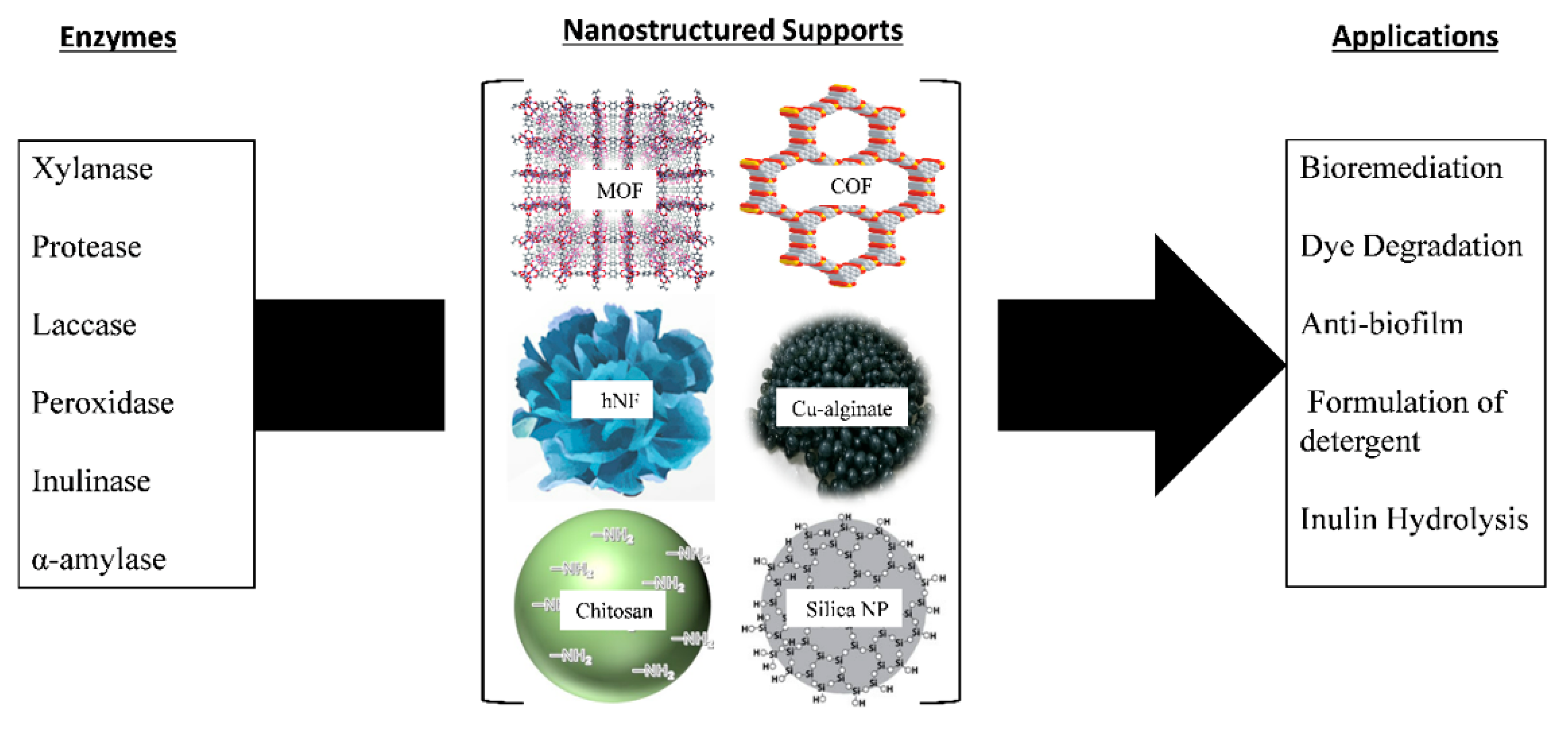 Nanomaterials 11 03124 g003