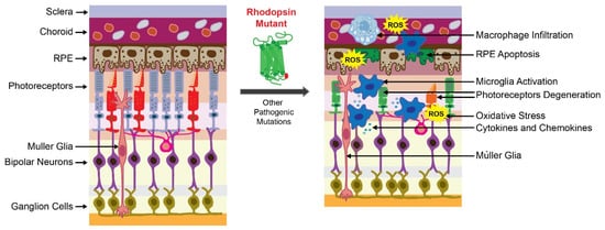 Pharmaceutics 13 01935 g001 550