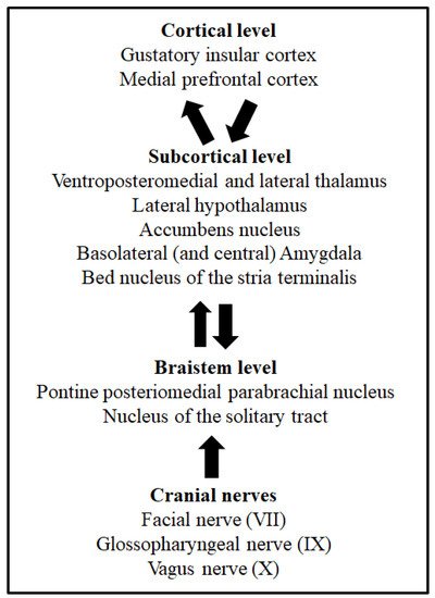 Molecules 25 03112 g001 550