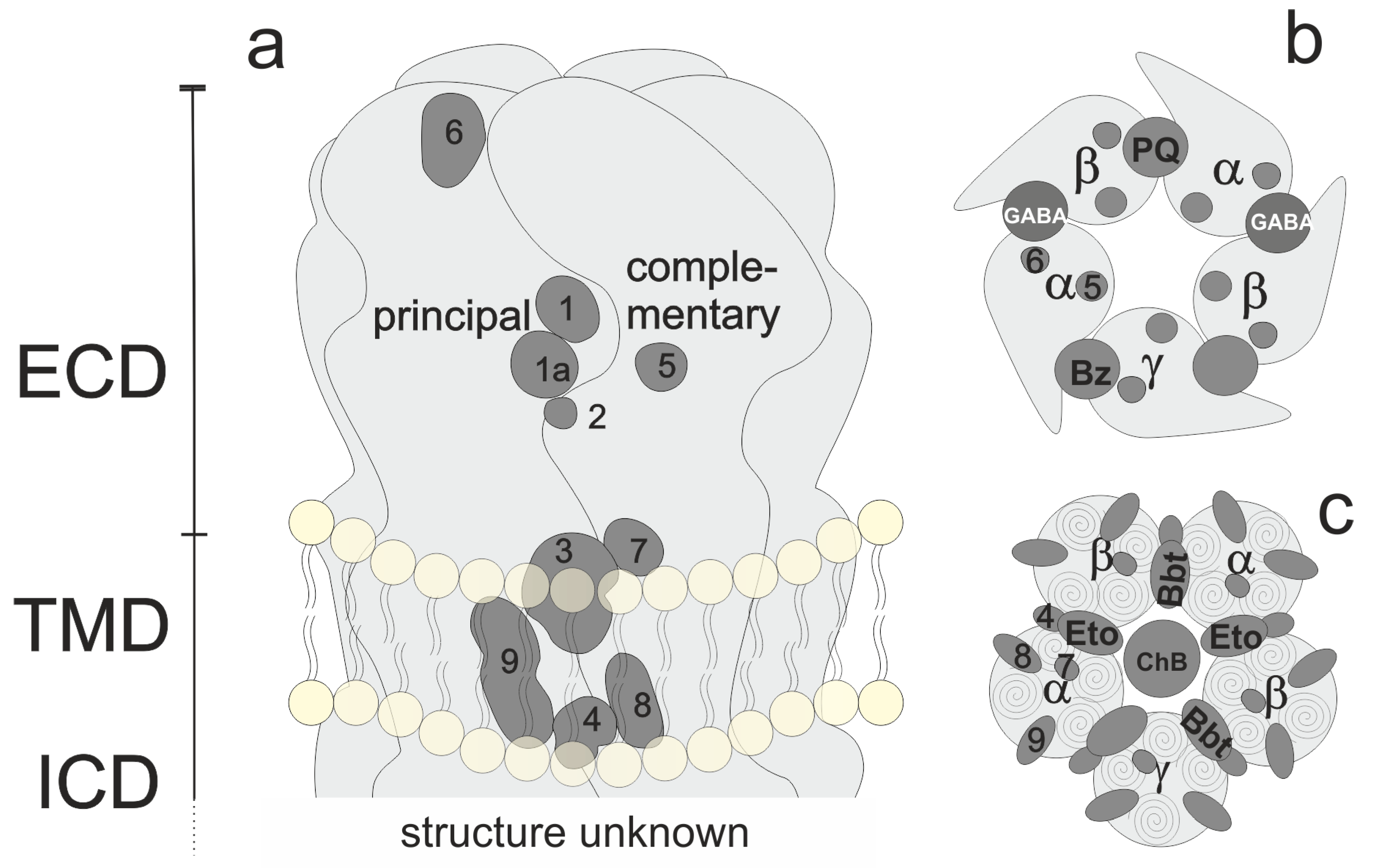 /media/item_content/202111/61a4337dcfe52molecules-25-00999-g001.png