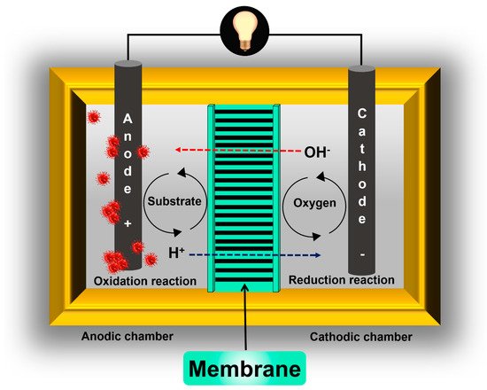 Membranes 11 00738 g003 550