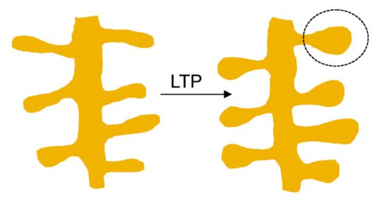 Biomolecules 11 01697 g002 550