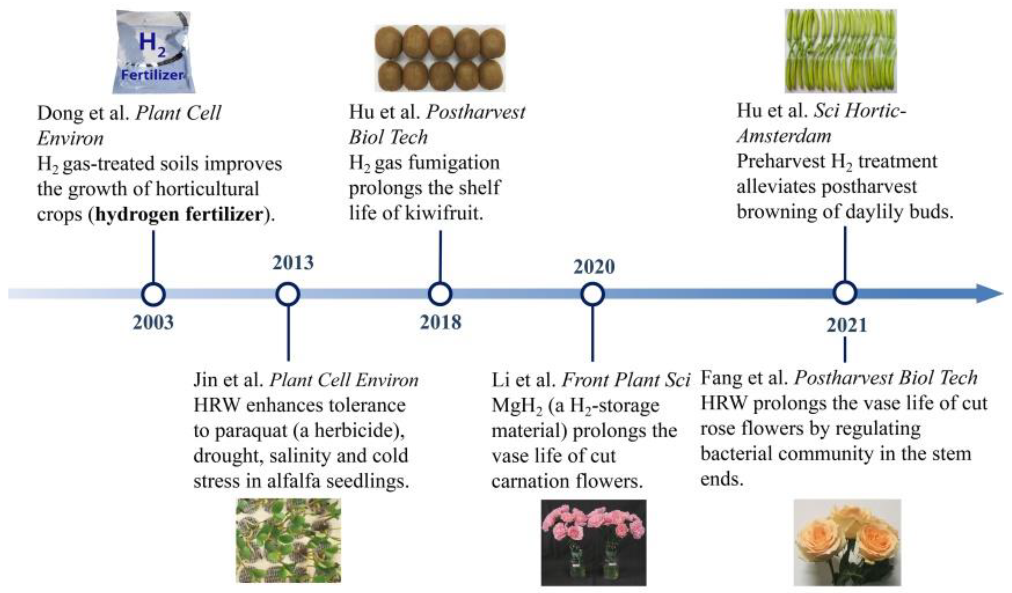 Horticulturae 07 00513 g001