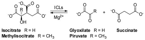 Molecules 26 07082 sch001 550