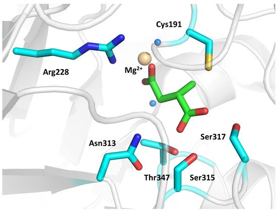 Molecules 26 07082 g002 550