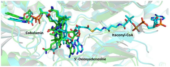 Molecules 26 07082 g004 550