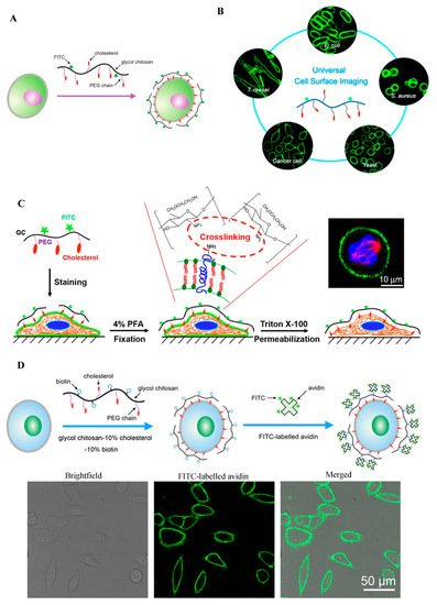 Molecules 24 04371 g002 550