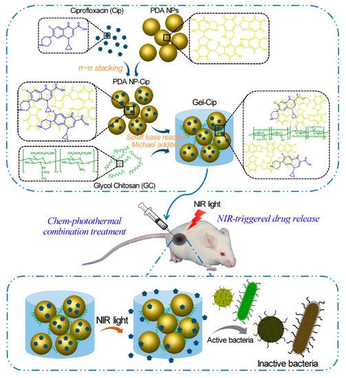 Molecules 24 04371 g003 550