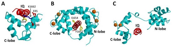 Biomolecules 11 01811 g003 550