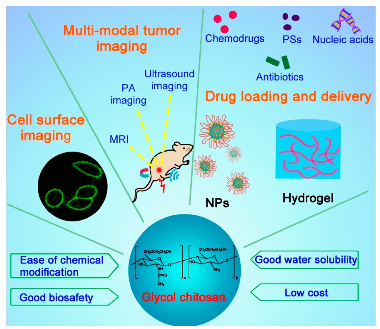 /media/item_content/202112/61b95e93eaa92molecules-24-04371-g001.png