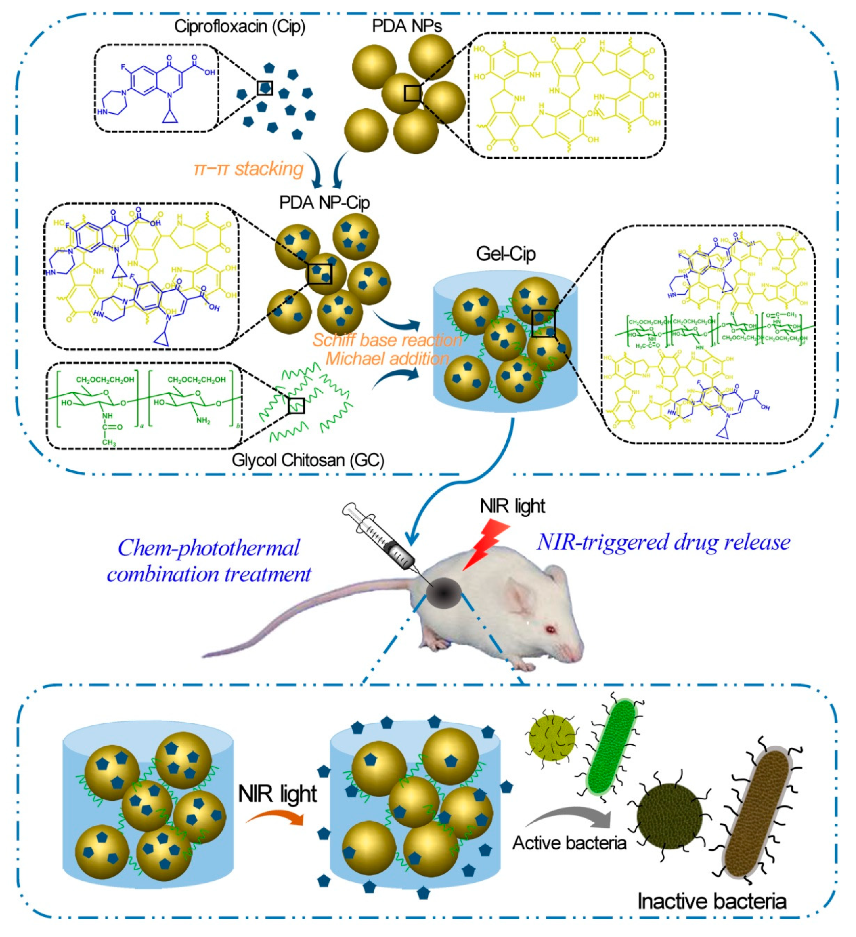 /media/item_content/202112/61b95ec349156molecules-24-04371-g003.png