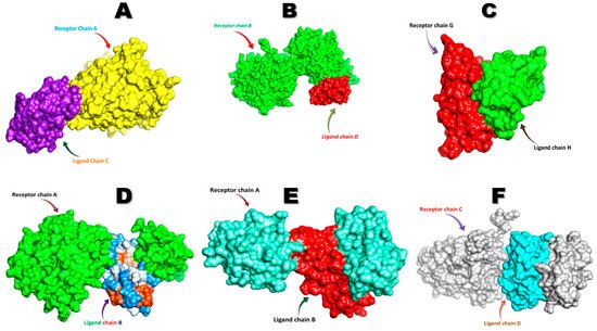 Biology 10 01207 g005 550