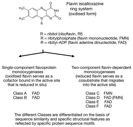 Microorganisms 09 02593 g001 550