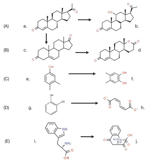 Microorganisms 09 02593 g003 550