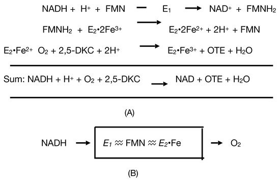 Microorganisms 09 02593 g004 550