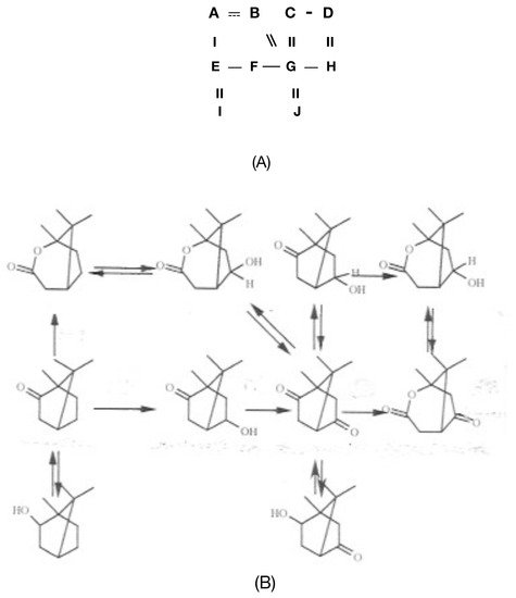 Microorganisms 09 02593 g005 550