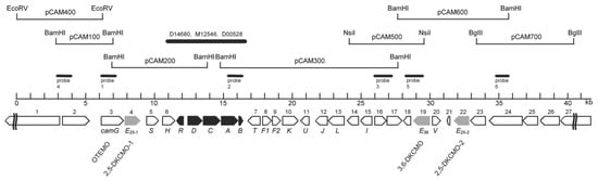 Microorganisms 09 02593 g007 550
