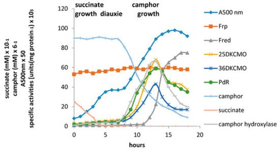 Microorganisms 09 02593 g011 550