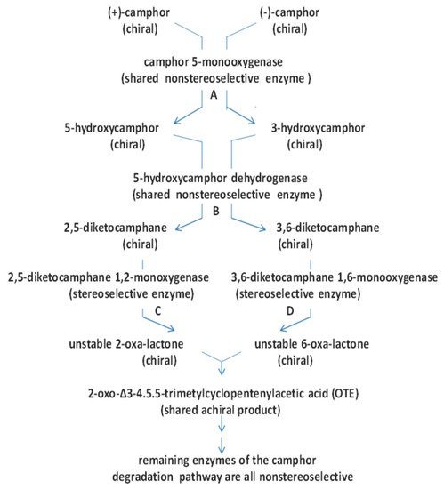 Microorganisms 09 02593 g014 550