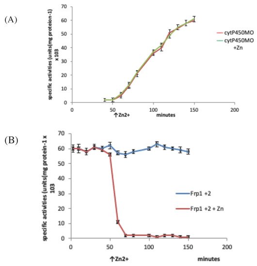 Microorganisms 09 02593 g016 550