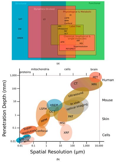 Biomedicines 09 01918 g001 550