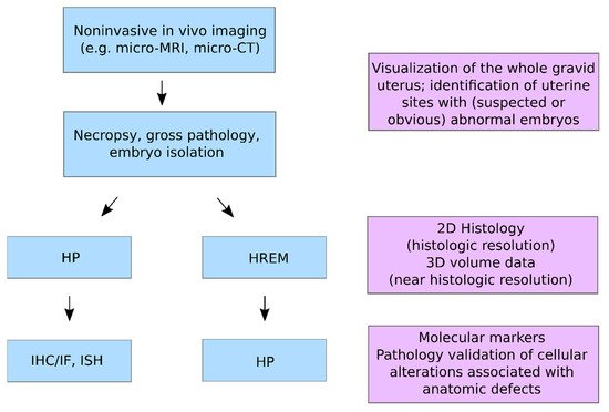 Biomedicines 09 01918 g002 550