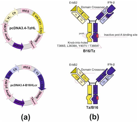 Biomolecules 11 01915 g004 550