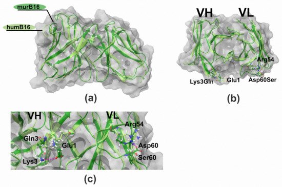 Biomolecules 11 01915 g010 550