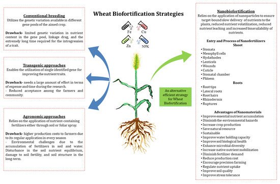 Biology 10 01123 g001 550