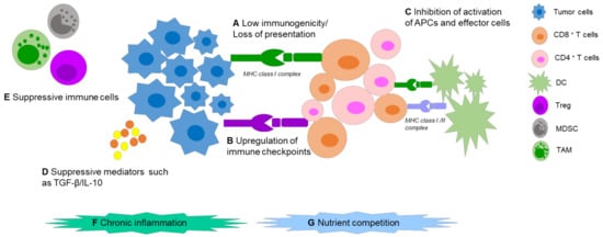 Pharmaceutics 14 00026 g001 550
