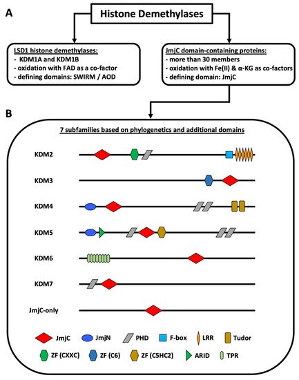 Biomolecules 11 01911 g001 550