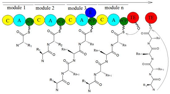 Molecules 27 00018 g011 550