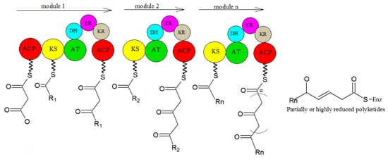 Molecules 27 00018 g012 550