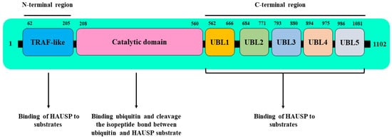 Genes 13 00042 g001 550