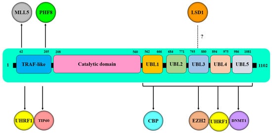 Genes 13 00042 g002 550