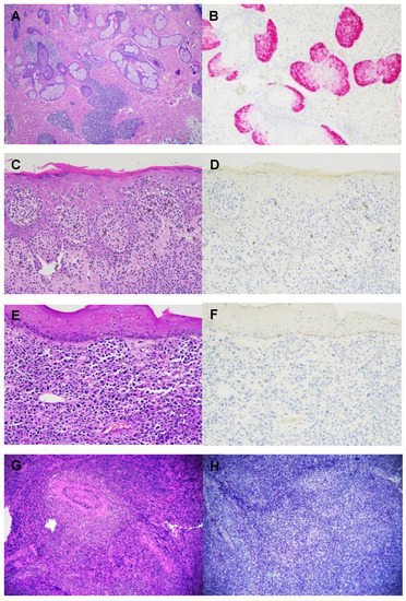 Dermatopathology 09 00002 g001 550