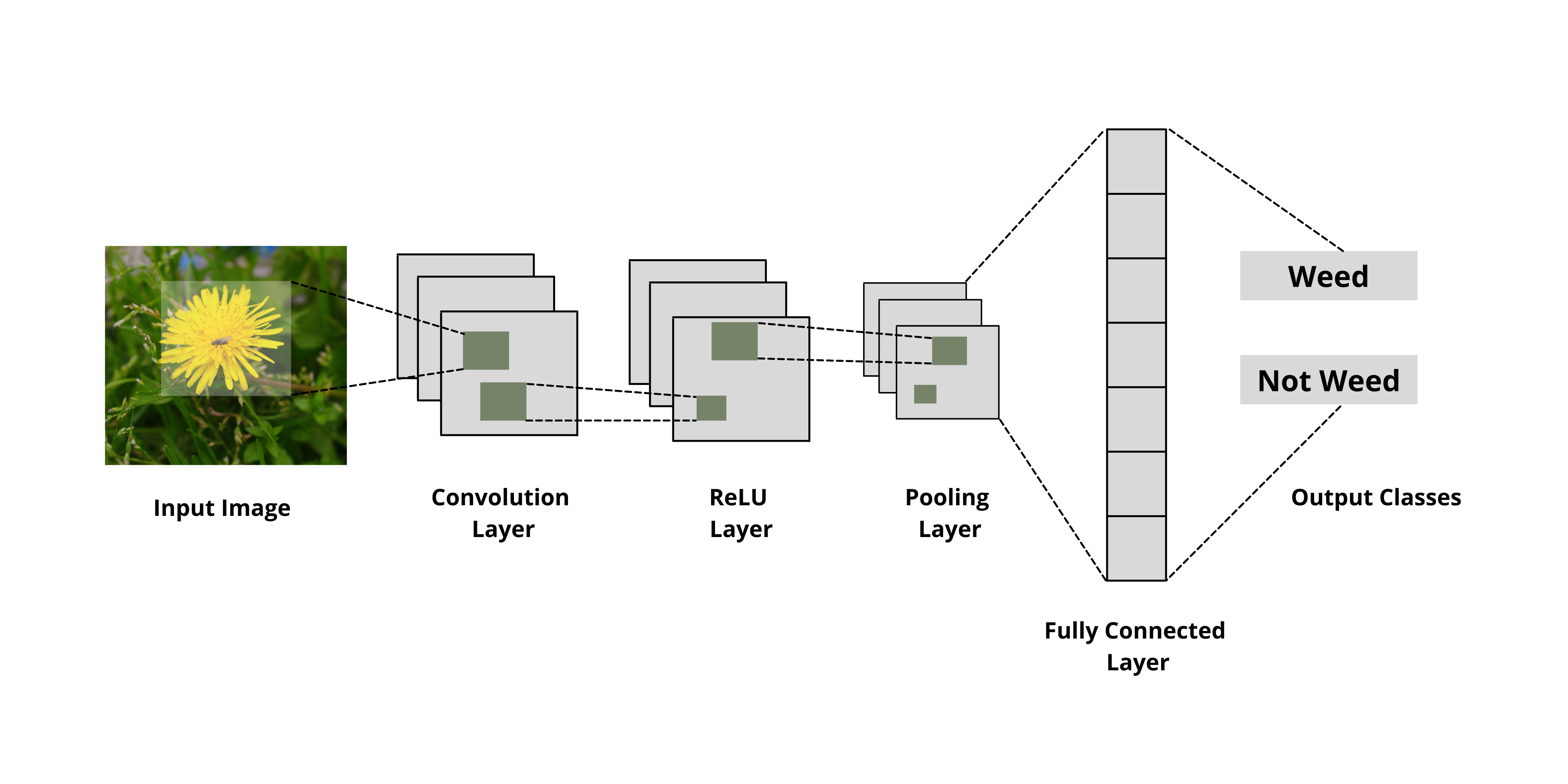 Figure 4. An illustration of the CNN framework for image classification.