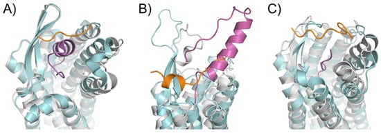 Molecules 27 00210 g003 550