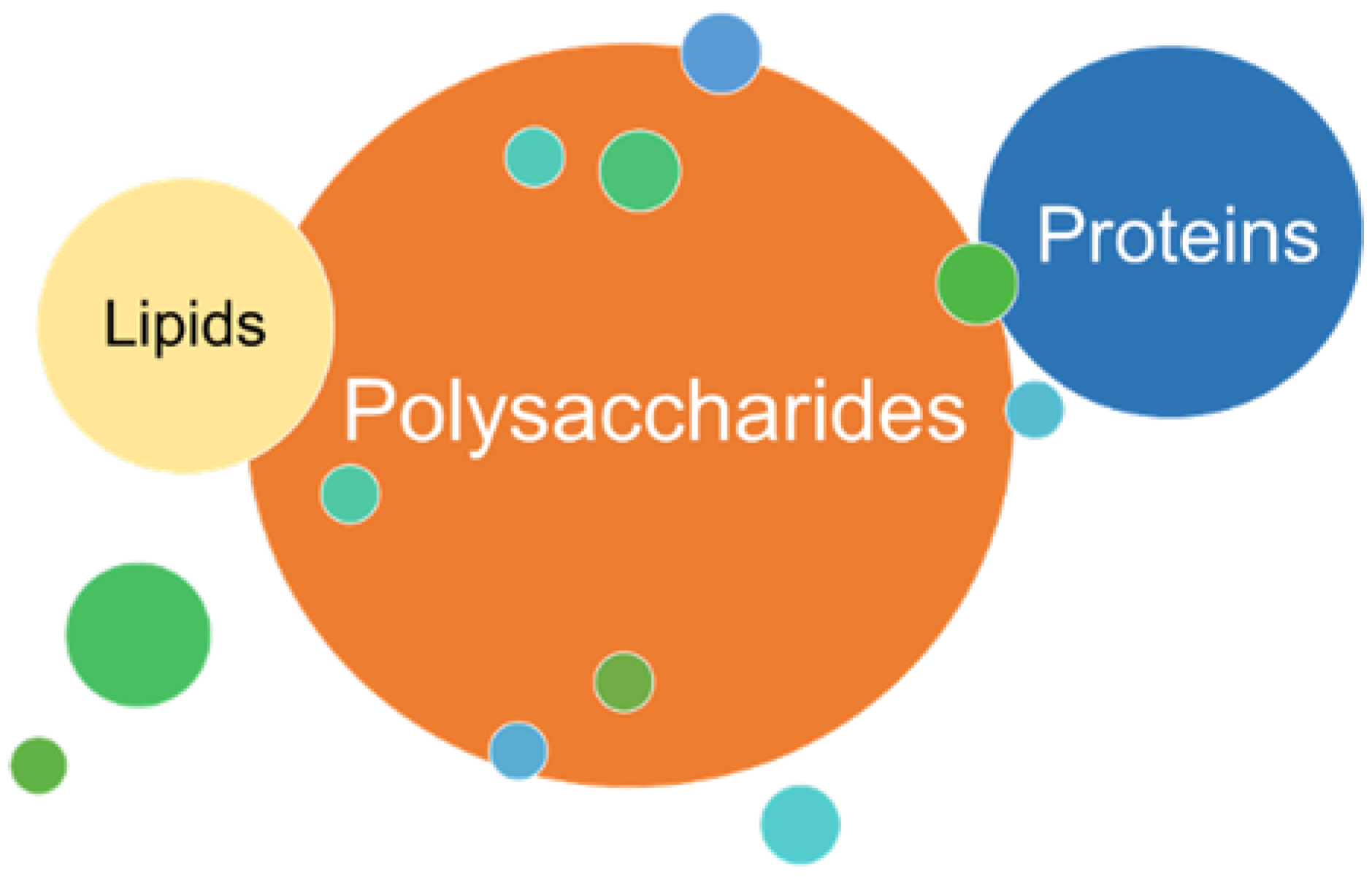 Polysaccharides 03 00002 g003