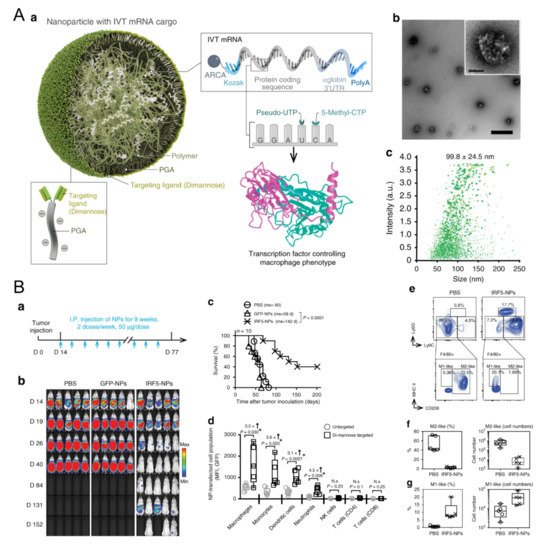 Biomolecules 11 01912 g001 550