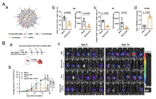 Biomolecules 11 01912 g002 550