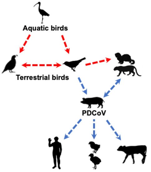 Pathogens 11 00079 g002 550